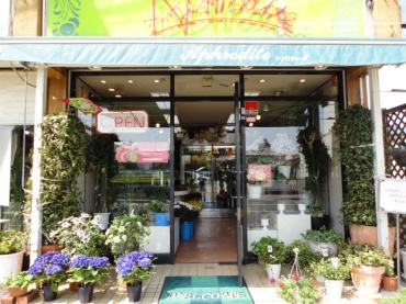 「フローリスト・アフロディーテ」　（愛知県尾張旭市）の花屋店舗写真1